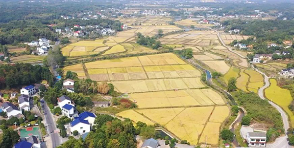 微信圖片_20221219092432.jpg 微信圖片_20221219092432.jpg