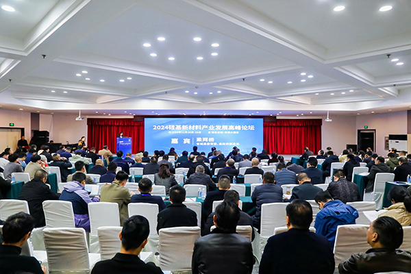 頂立科技參加硅基新材料高峰論壇，分享高純石英制備熱工裝備最新技術(shù) (2).jpg