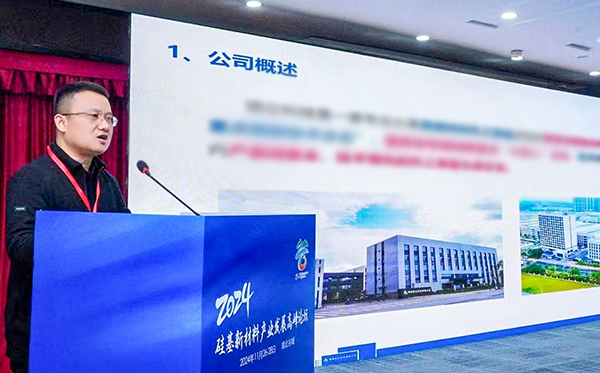 頂立科技參加硅基新材料高峰論壇，分享高純石英制備熱工裝備最新技術(shù)